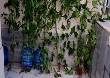 İZNİK’TE UYUŞTURUCUYA GEÇİT YOK