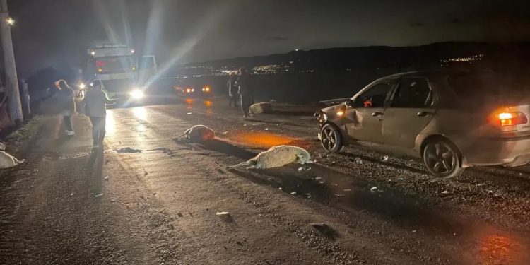 Otomobil koyun sürüsünün arasına daldı