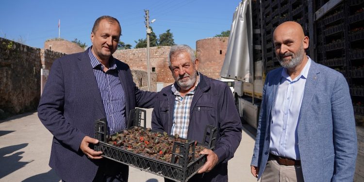 Bayram Öncesi İznik’te Mezarlıklar Çiçek Açıyor