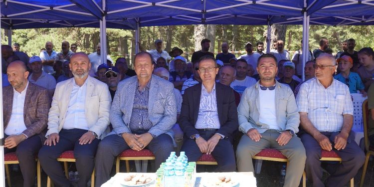 Alıç Yaylası Kıran Kırana Güreşlere Sahne Oldu