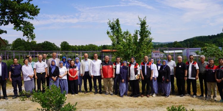 İznik’te Maviyemiş Hasadı Başladı